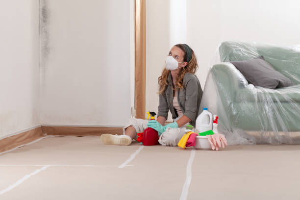 Reliable Mold Inspection And Testing contractor in River Edge, NJ by Mold Remediation HQ
